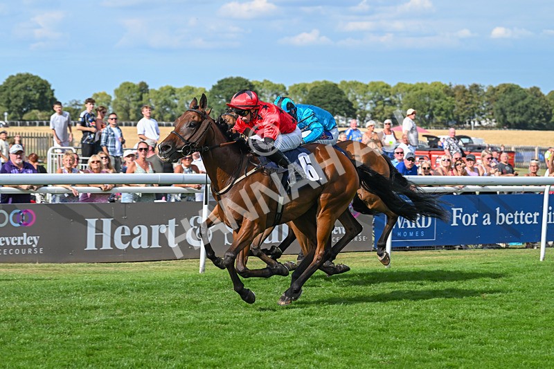 140825-Race 6-Sunny Orange-1831 - Race 6