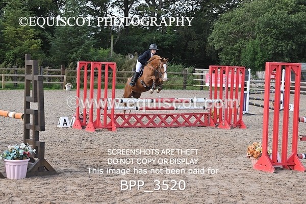 BPP_3520 - CLASS 36 SUN Senior British Novice/ 90cm Open
