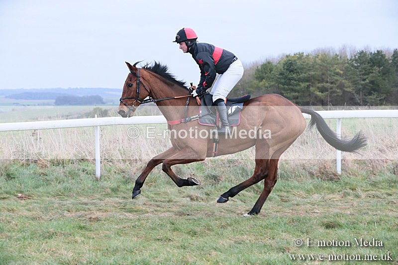 PtP 060119 190 - Larkhill Racing Club - Point-to-Point- 06/01/2019