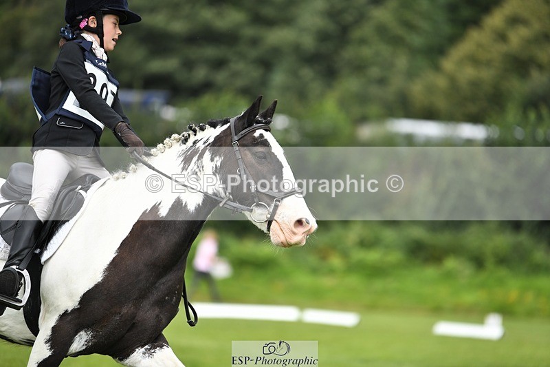 230826-112816-15874 - Sections C & D 10 to End