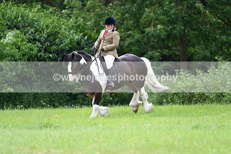 WJ7_2348 - Class 12A Coloured Class