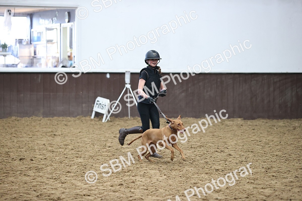 SBM_001294 - Class 3 - Horse & Hound 60cm