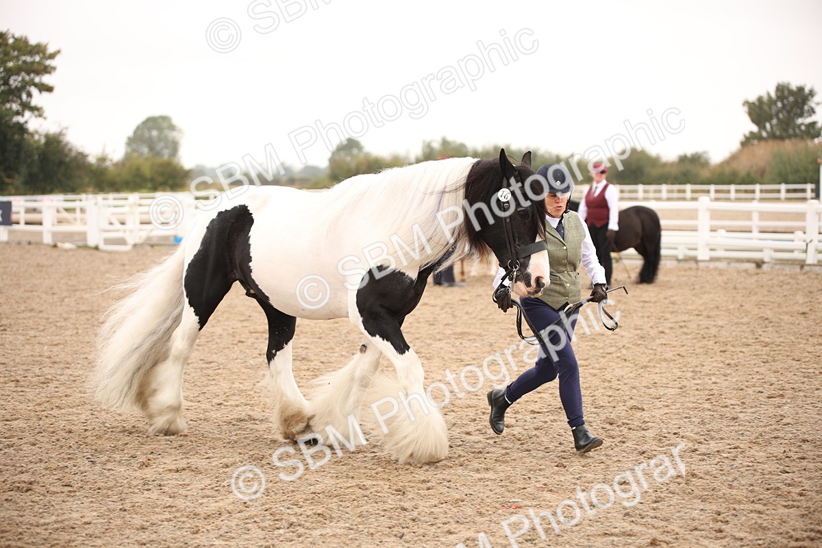 SBM_22151 - Class 707 - Ridden Groom-Helpers Class