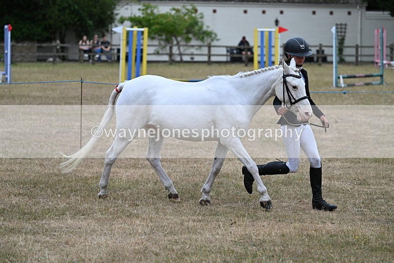 WJ7_8311 - Class 4 Prettiest Mare up to 14.2hh
