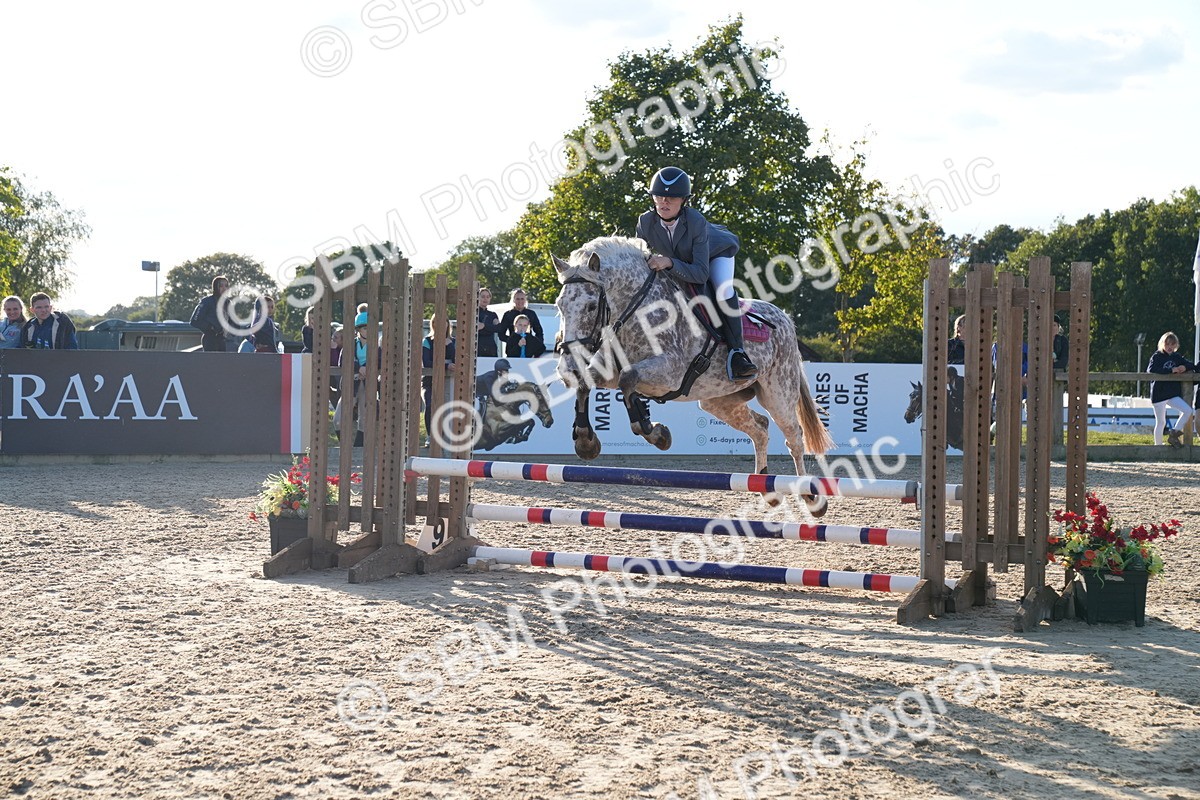 SBM_29996 - J44 - Super Speedy Scurry Open - 70cm