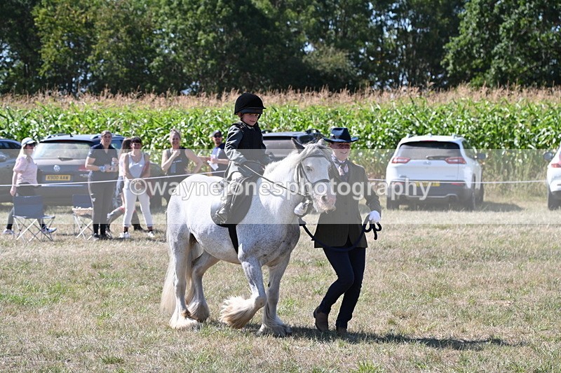 WJ6_7932 - Class 36 Lead Rein