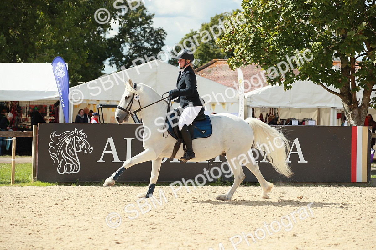 SBM_06327 - J29 Senior 65cm Championship