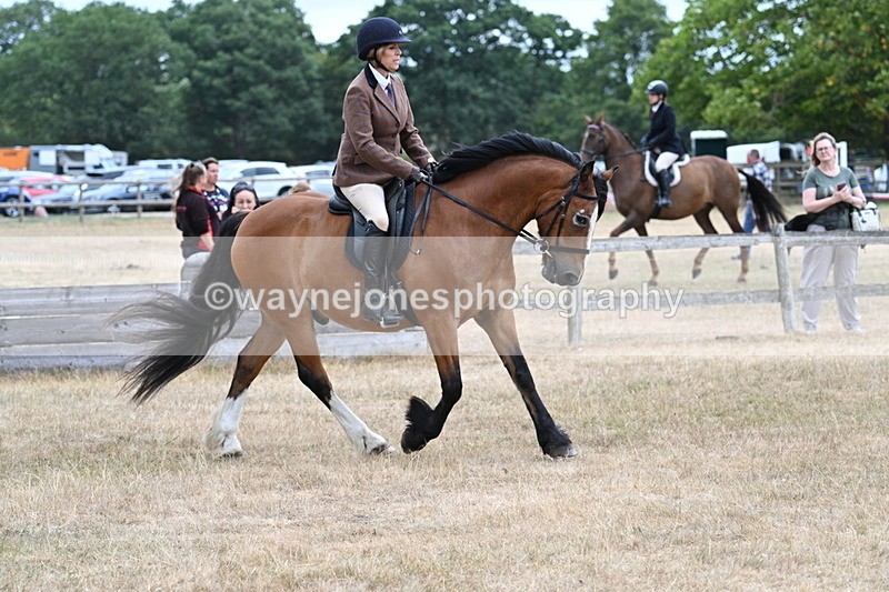 WJ7_0560 - Class 6 Ridden Mountain and Moorland