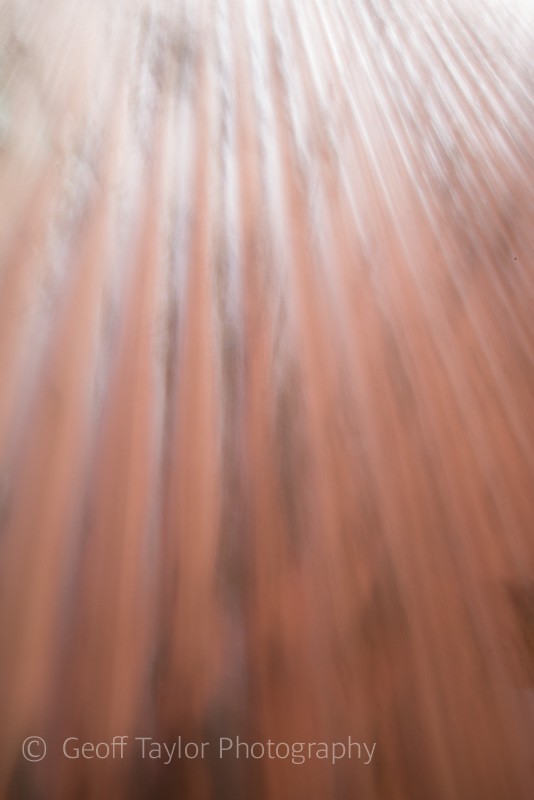 Perceptions of Reality 5 - Mindfulness and Meditation