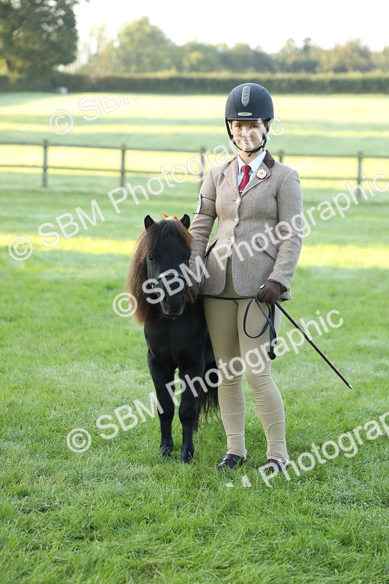 SBM_57880 - S42 - Youngstock