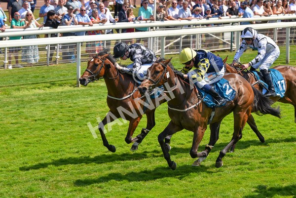 160623-Race 2-Celestial Flight-6174 - Race 2 2.25pm SKF Rous Selling Stakes