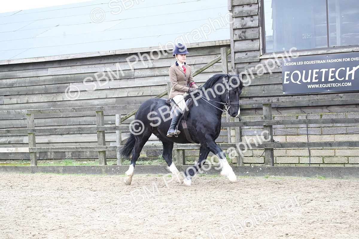 SBM_006272 - Class 10-13 - RIHS Small Large Breeds