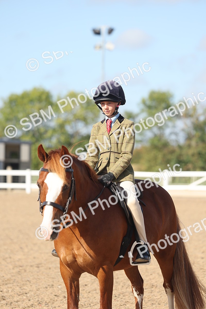 SBM_22629 - Class 804 - Ridden Veteran Pony