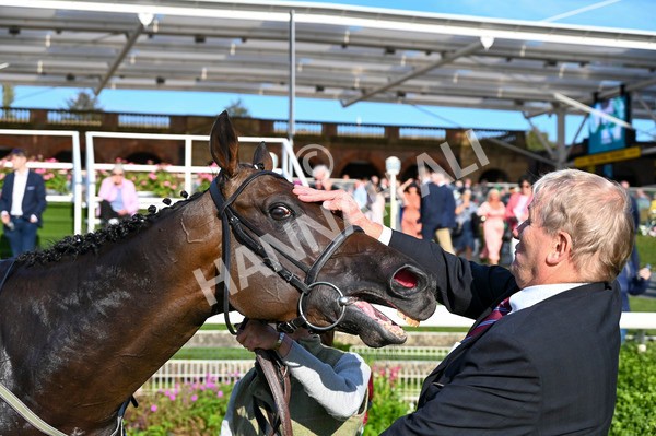 230923-Race 5-Vintage Clarets-3473 - Race 5 4.20pm Vickers.Bet Handicap