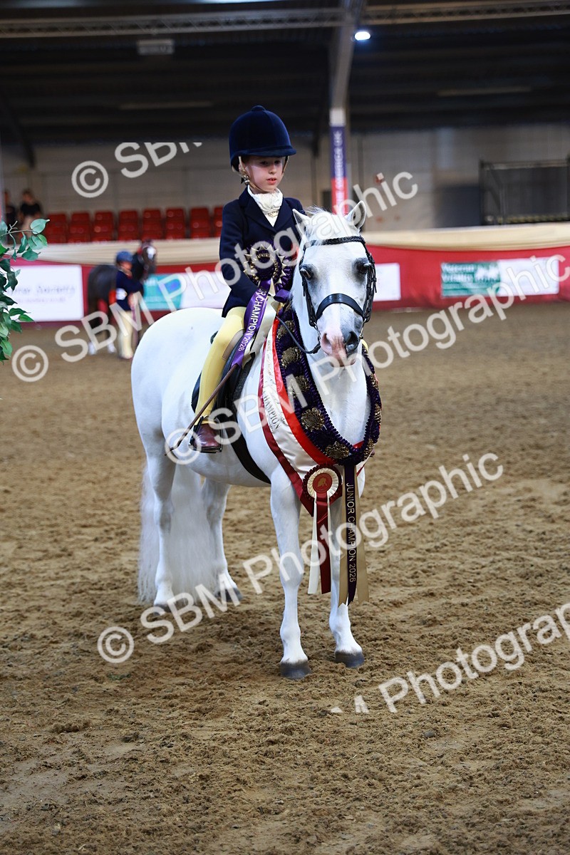 SBM_14627 - Class A - Junior Champ 10 year and Under