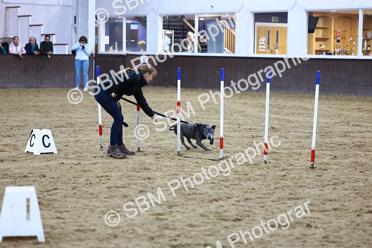 SBM_005998 - Evening Performance