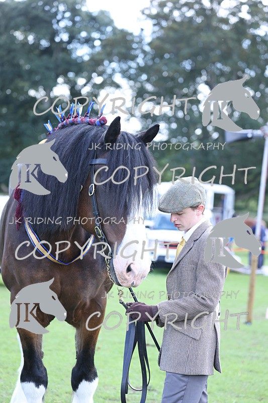 APP_3433 - Class 6 Young Handlers