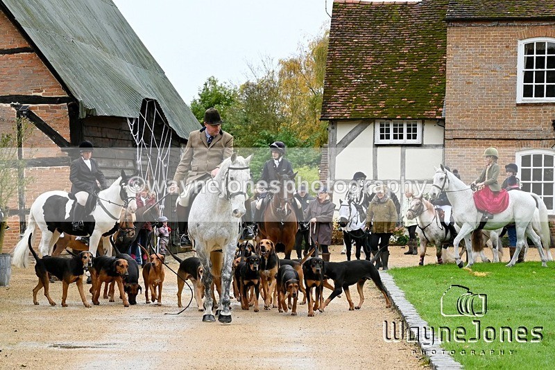 WJ6_8901 - Edited examples