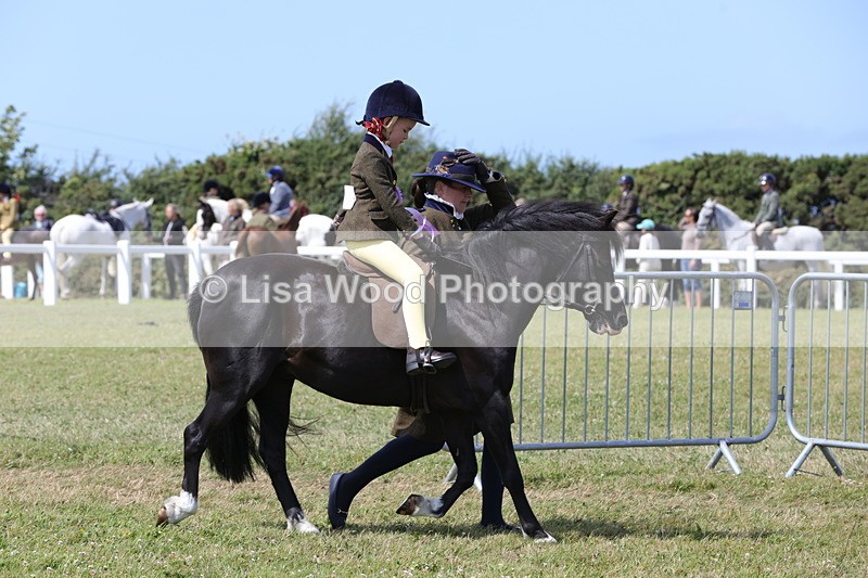 1X9A5310 - Class 36: NPS M&M Lead Rein