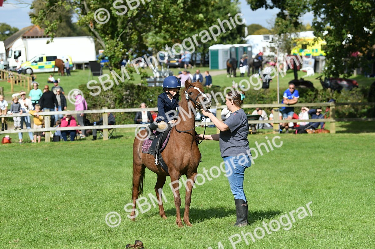 SBM_47160 - S12 - Family Horse & Pony