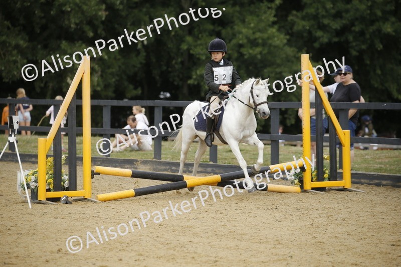 20250622-1478 - 40cm