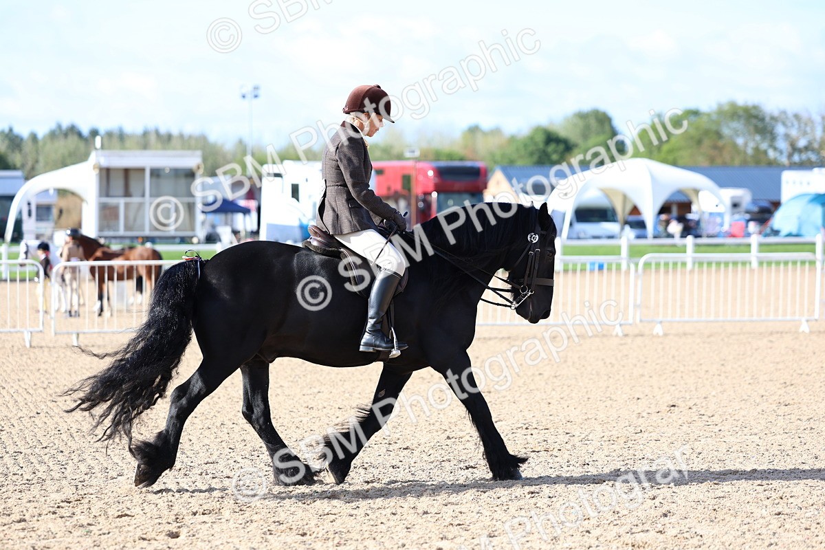 SBM_08938 - Class 302 - Ridden M&M - Large Breeds