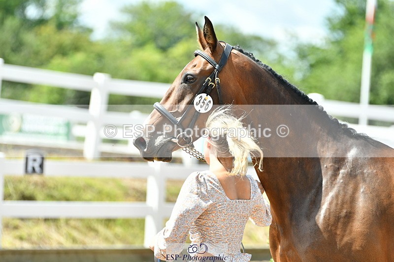 230719A-121906-00147_Trot Up 12pm to 1pm - 079-756-5000