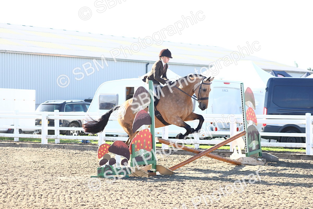 SBM_08566 - Class 502 - Riding Club Horse