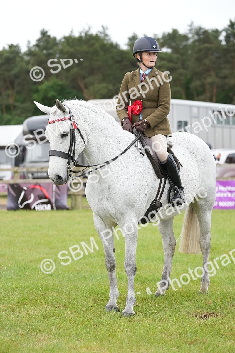 SBM_12846 - Class 97-98 - LIHS BSHA Rising Star Working Show Horse Hunter