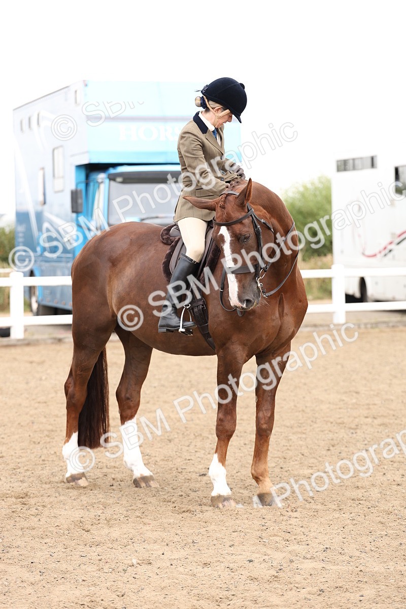 SBM_02942 - Class 53 - Ridden Competition Horse/Pony