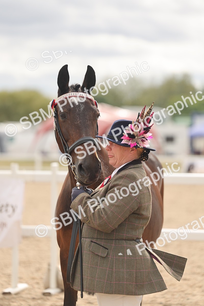 SBM_16991 - Class 312 - IH Competition Horse-Pony