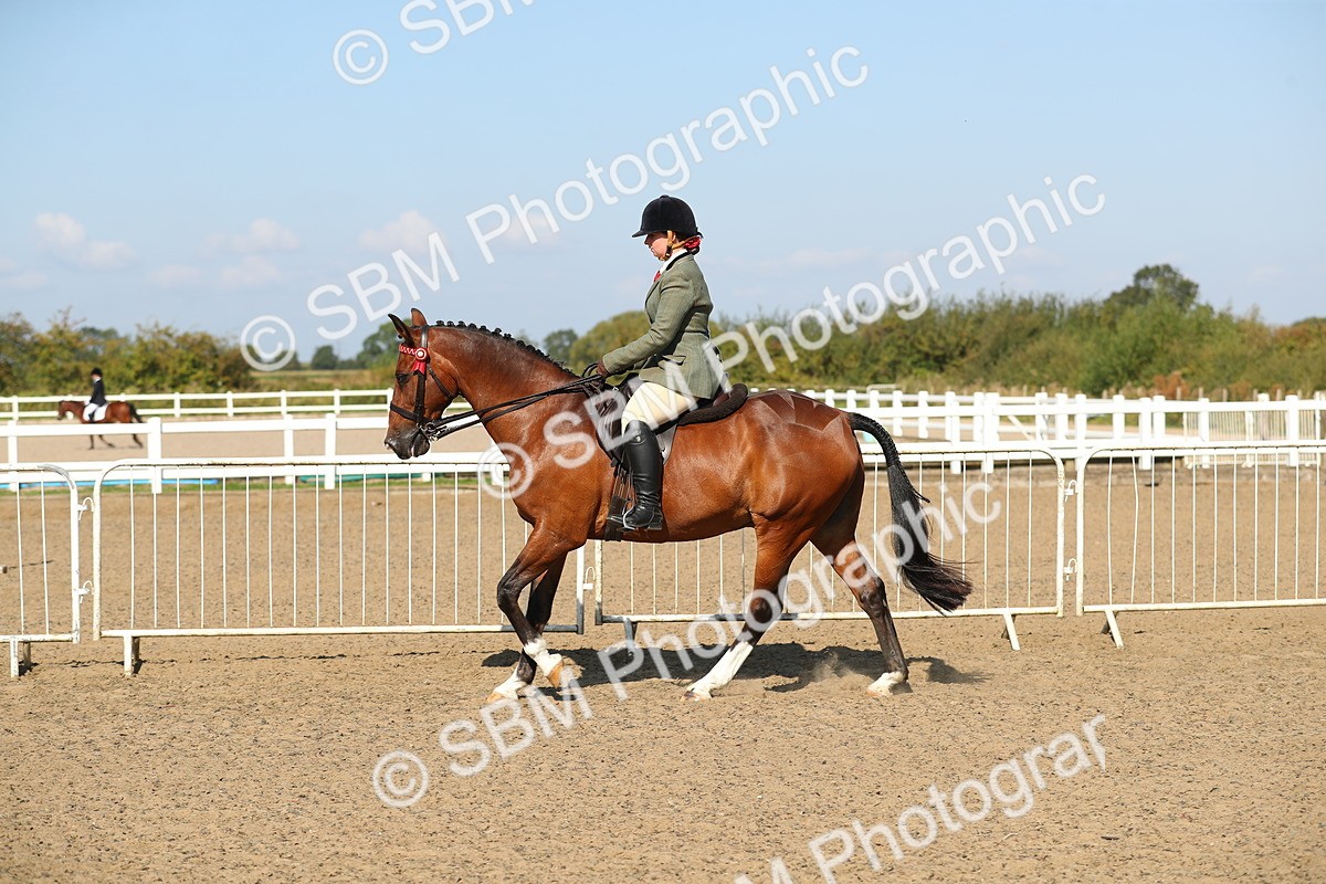 SBM_02236 - Class 43 Ridden Competition Horse/Pony