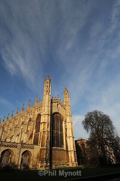 MynottART128 - Photo Mynott ART Images