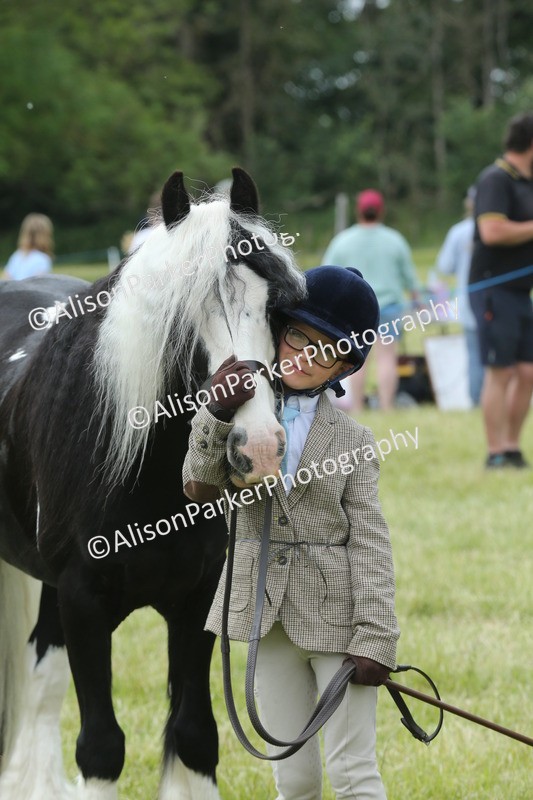 20260614-4311 - Class 18 - Best Junior Handler