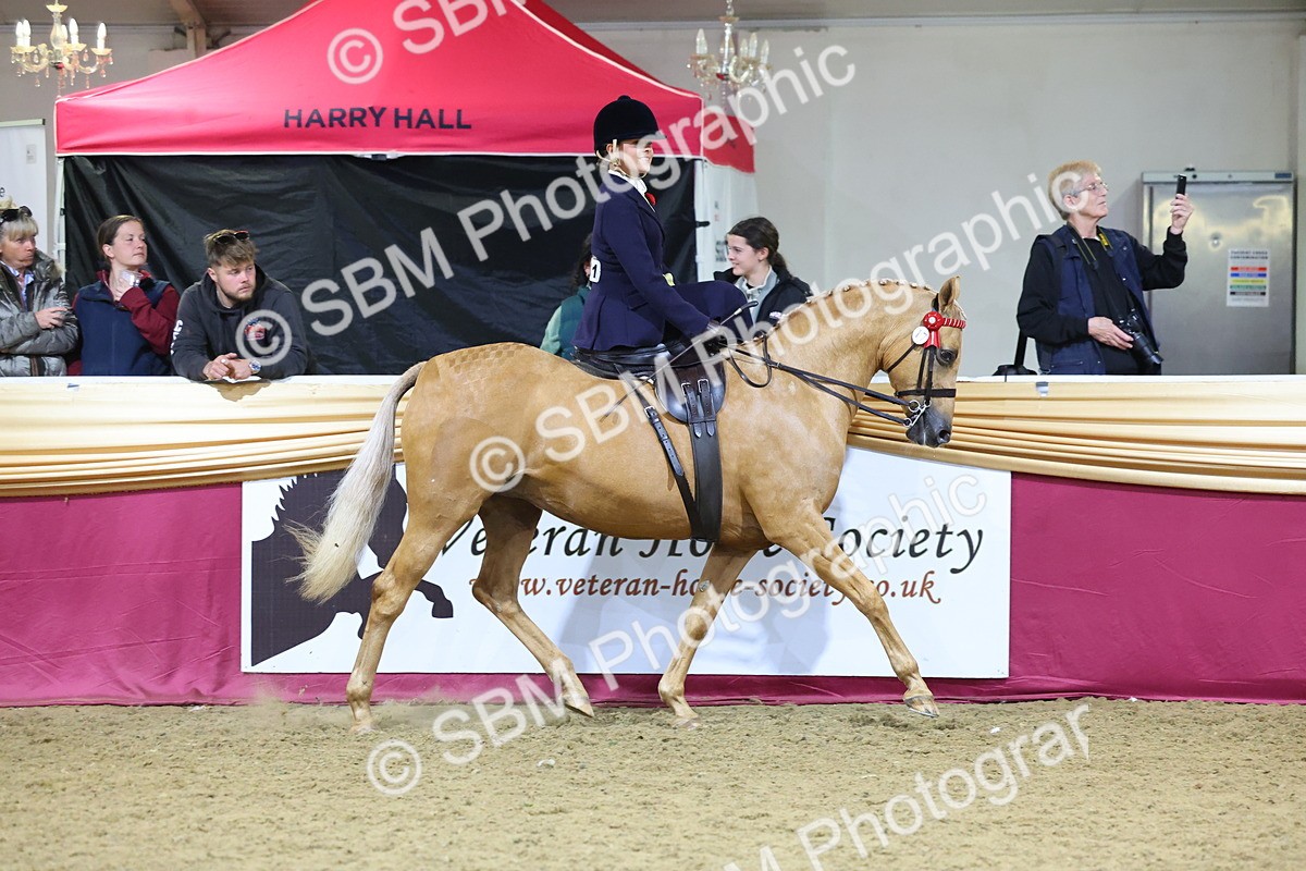 0B8A4255 - Class L Side Saddle Champ