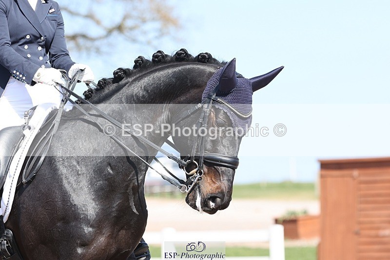 250405-145118-11484 - 069-India.Hamilton-Burnet-Kissingdale