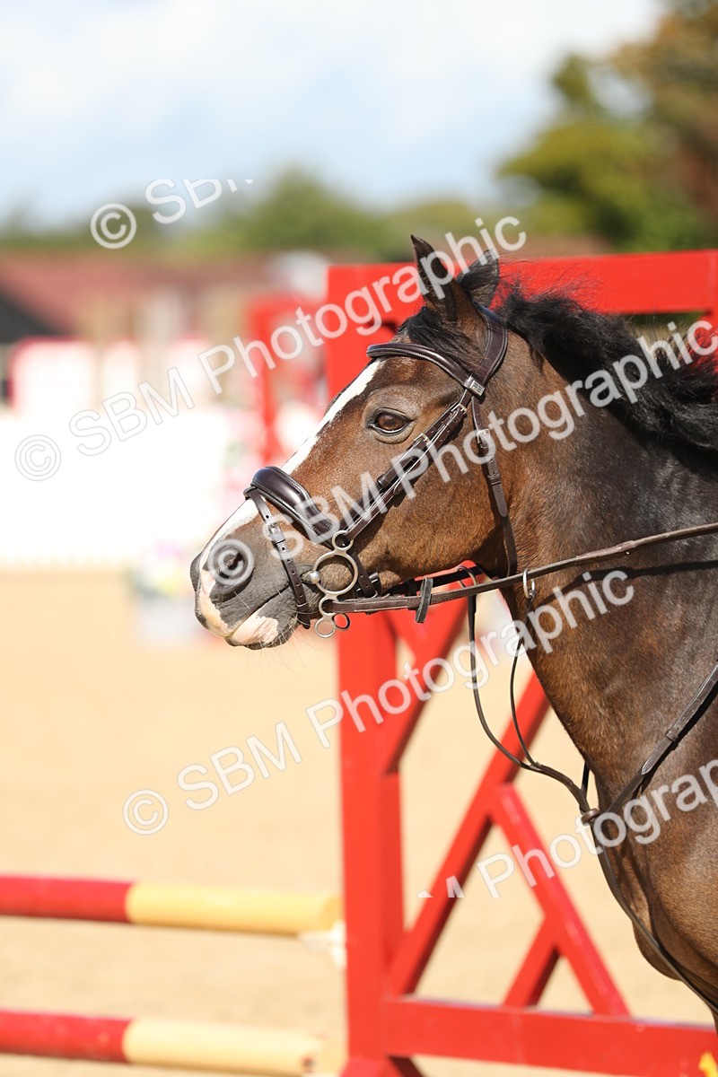 SBM_04735 - J28 - Senior Horse & Pony 60cm Championships