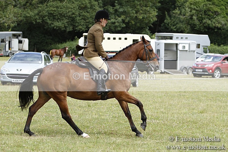 BVR160717-1806 - Ring 3 BVRC Show 16/07/17