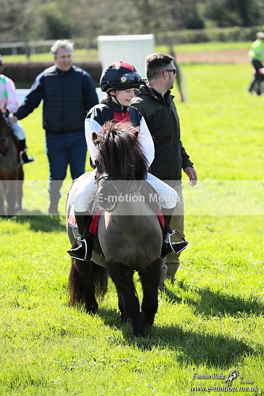 Shet 060426 353 - Shetland Pony Racing Paxford Races Easter Mon 06/04/26