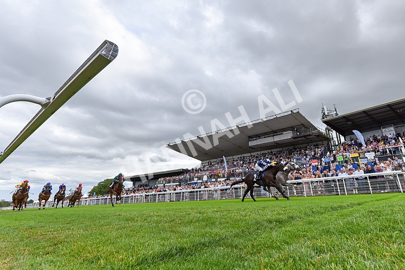 050725-Race 2-Mo Of Cairo-5765 - Race 2