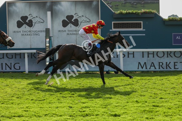 170524-Race 7-Jubilee Walk-2337 - Race 7 5.20pm Irish Thoroughbred Marketing Handicap
