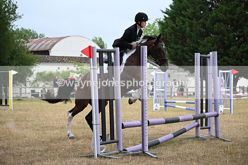 WJ6_0026 - Class 13 Novice Jumping 60cm