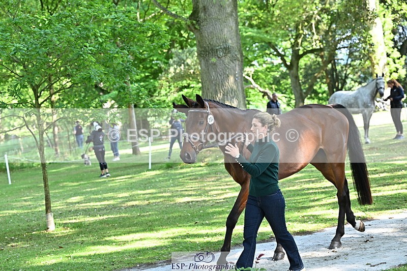 250521A-160248-00884 - C-204-Kirsty.Chabert-OPPOSITION.FIDELITY