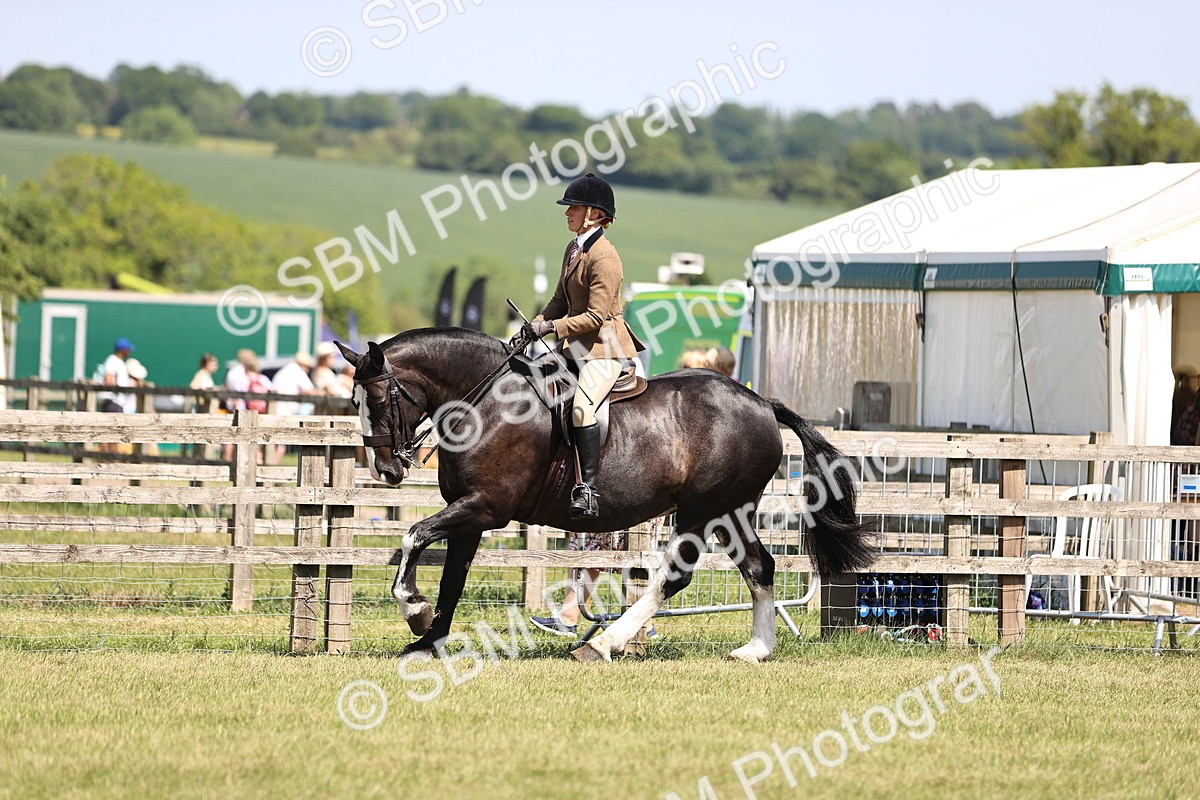 SBM_17883 - Class 81-83 - TSR Ridden Amateur of the Year - Horses