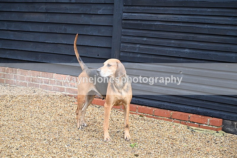 WJ7_6983 - Berks & Bucks at Blandy’s Farm 31-08-25