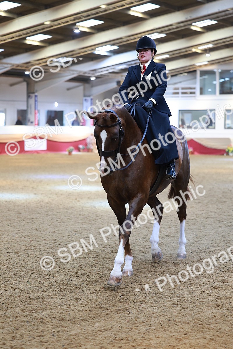 SBM_12551 - Class 103 - HOYS Veteran Qualifier - Ridden Pre Vet