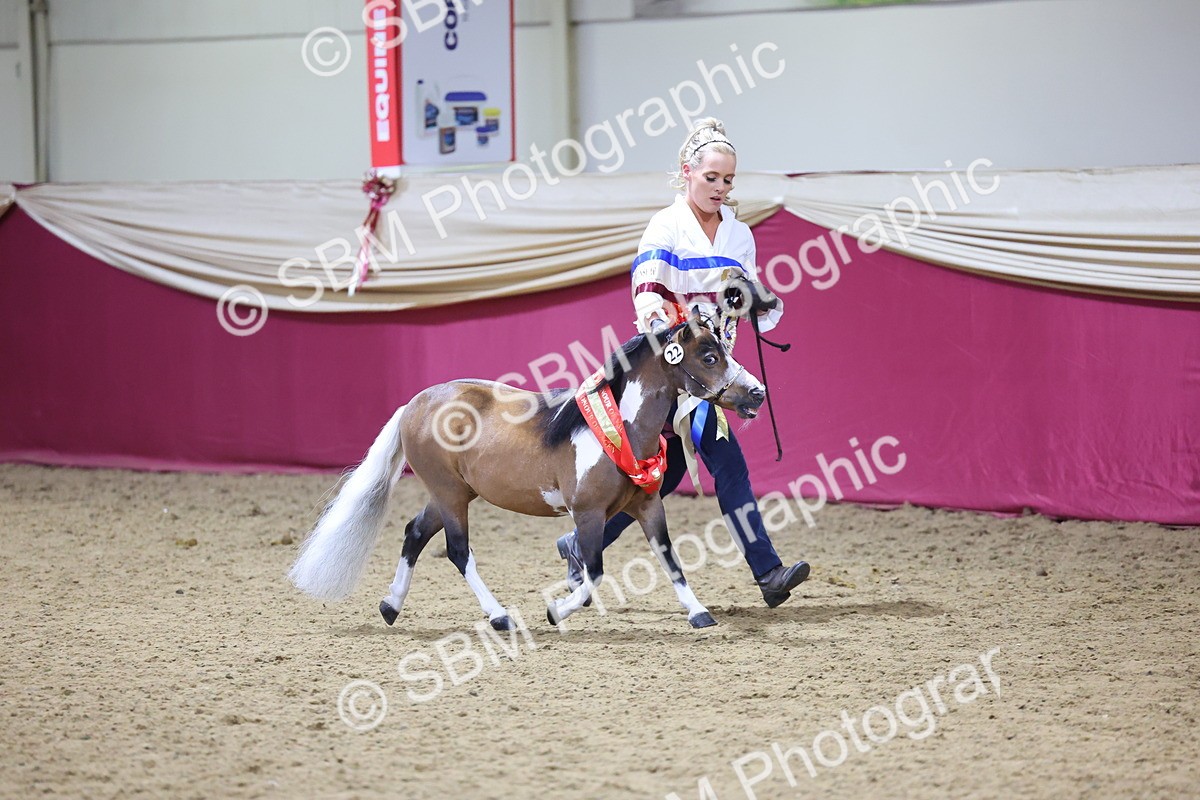SBM_18708 - Class D IH Pony Champ