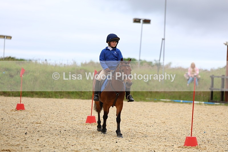 3E7A9433 - Walk trot run