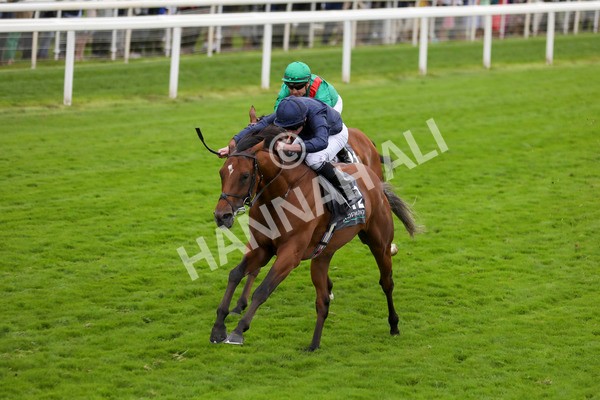 210824-Race 4-City Of Troy-7304 - Race 4 3.35pm Juddmonte International Stakes