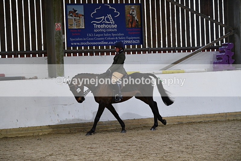 WJ5_8013 - Class 13 Ridden Part Breed